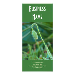 Carte Publicitaire Pavot En Cours