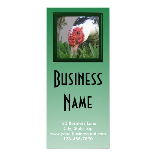 Carte Publicitaire Un oeil de canard - photo de fond Modèle d'entrepr (Devant)