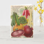 Carte Publicité vintage de semences végétales, (Fleur jaune)