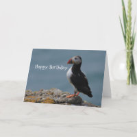 Puffin Anniversaire Salutations