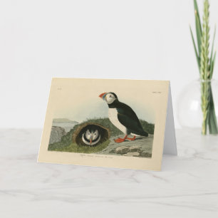 Carte Puffin atlantique des oiseaux d'Amérique d'Audubon