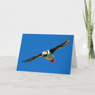 Carte Puffin en vol