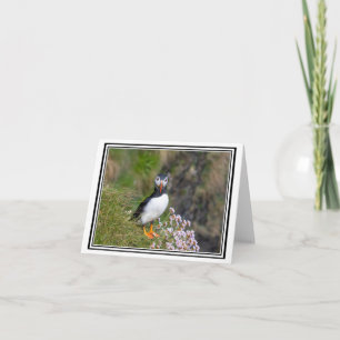 Carte Puffin ! L'île de Staffa, Écosse