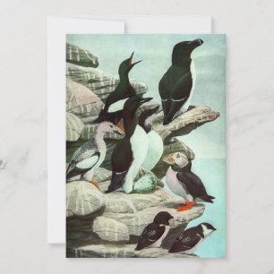 Carte Puffins et oiseaux aquatiques d'autrefois par Loui