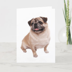 Carte Pug Puppy Dog Blank Greeting Note