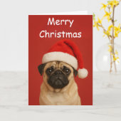 Carte Pug with a Santa hat Custom Christmas Greeting (Fleur jaune)