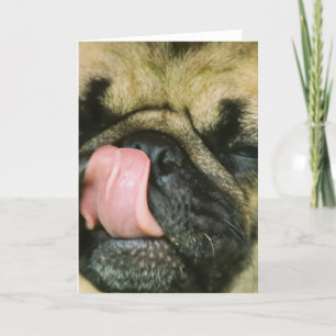 Carte Pugalicious Grey Card