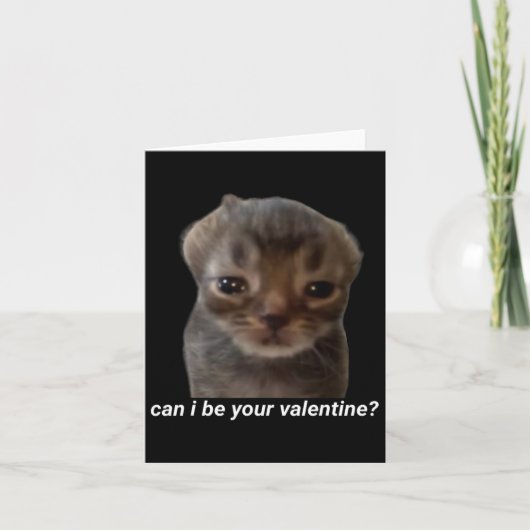 Carte Puis-je être votre Saint-Valentin Mème de chat drô (Devant)