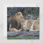 Carte Puissant amour Lion (Devant)