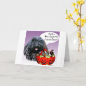 Carte Puli Halloween Candy (Fleur jaune)