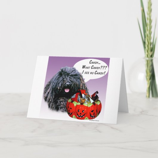 Carte Puli Halloween Candy (Devant)