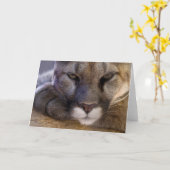 Carte Puma (Fleur jaune)