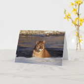 Carte Puma d'hiver (Fleur jaune)