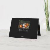 Carte Pumkins à Dappled Light Greeting Card (Dos)