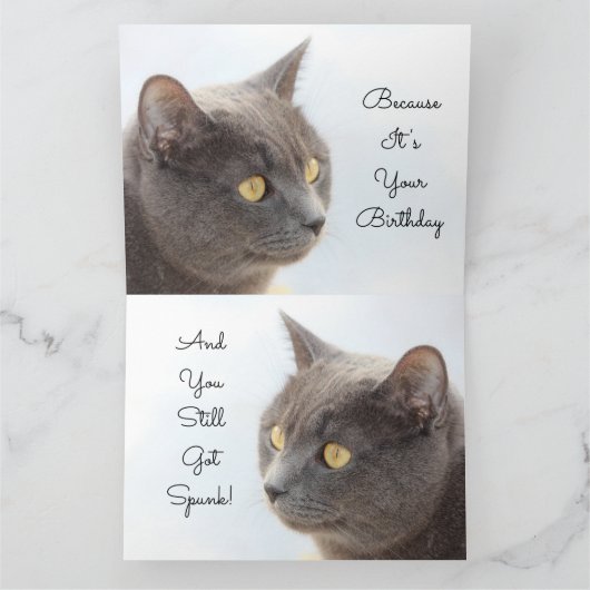 Carte Punk avec éponge (Intérieur)