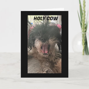 CARTE PUP EST BAFFLED-COMMENT AVEZ-VOUS TOURNÉ "70"