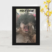 CARTE PUP NE PEUT JUSTE PAS LE CROIRE ! U R "40" (Fleur jaune)