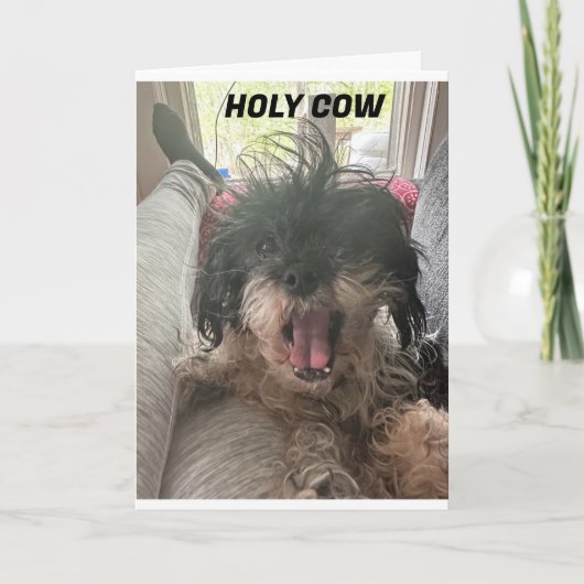 CARTE PUP NE PEUT JUSTE PAS LE CROIRE ! U R "40" (Devant)