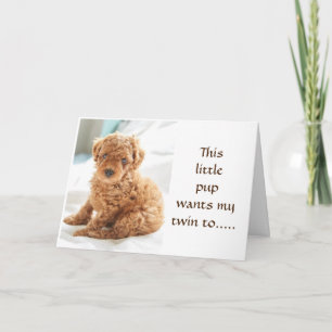 CARTE PUP VEUT QUE MON ANNIVERSAIRE DE LA VILLE" SOIT EN