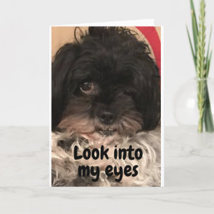 CARTE PUP VOUS DIT "HEUREUX ANNIVERSAIRE" !