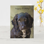 Carte Puppy (Fleur jaune)