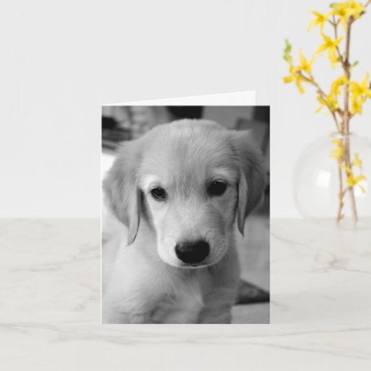 Carte Puppy (Fleur jaune)