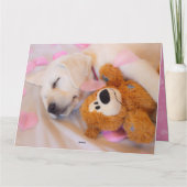 Carte Puppy cuddles 02 (Dos)