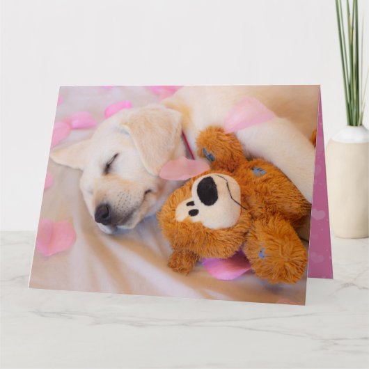 Carte Puppy cuddles 02 (Devant)