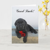 Carte Puppy de Good Luck labrador (Fleur jaune)