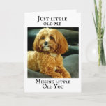 CARTE *PUPPY DOG MISSES YOU ON YOUR BIRTHDAY**<br><div class="desc">DO YOU HAVE THAT ONE PERSON YOU WISH TO LET KNOW **HE OR SHE IS MISSED** AND IT IS HIS OR HER ****BIRTHDAY**** AND YOU WISH TO MAKE "FUN" OU **HOW OLD** HE OR SHE IS GOING TO BE? BIEN, THIS CARD HAS IT ALL AND IF YOU LIKE "DOGS" YOU...</div>