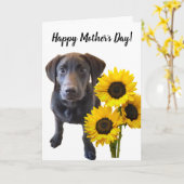 Carte Puppy et Sunflower de Black Lab (Fleur jaune)