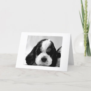 Carte PUPPY SAYS "SAY IT ISN'T SO" 30e JOUR