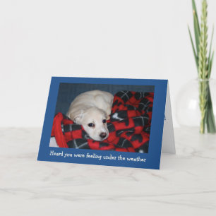 Carte Puppy s'en sort bien