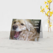 CARTE "PUPPY WOES" BATTU ANNIVERSAIRE (Fleur jaune)