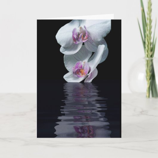 Carte Pureté (Devant)