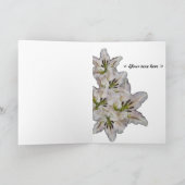 Carte pureté et beauté néfertiti (carte) (Intérieur)