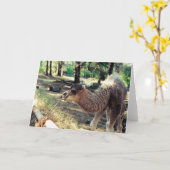 Carte Purnimama (Fleur jaune)