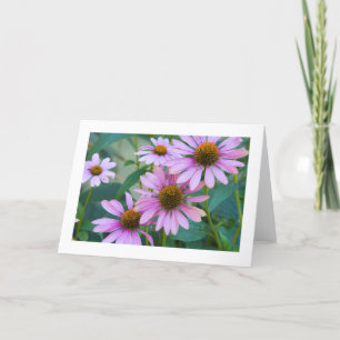 Carte Purple Daisies # 248