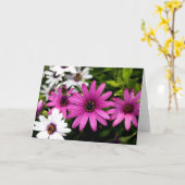 Carte Purple Daisy (Fleur jaune)