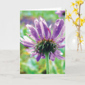 Carte Purple Daisy With Dew, Histoires dans la poésie na (Fleur jaune)