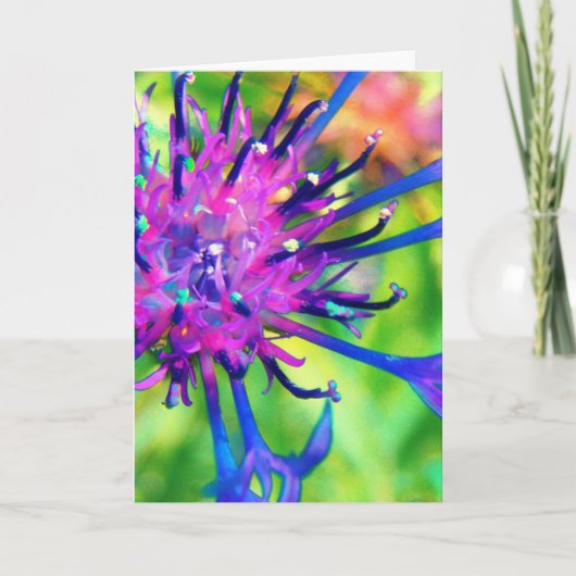 Carte Purple Flower (Devant)