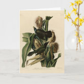 Carte Purple Grakle (Grackle) Audubon's Birds of America (Fleur jaune)