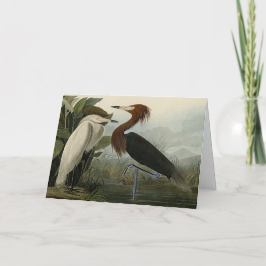 Carte Purple Heron - de Audubon's Birds of America (Devant)