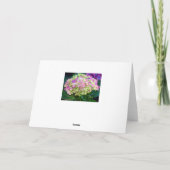 Carte Purple Hydrangea Sweet Friend (Dos)