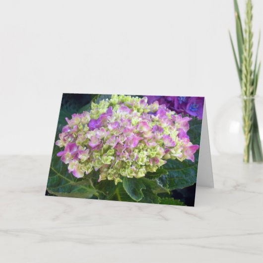 Carte Purple Hydrangea Sweet Friend (Devant)