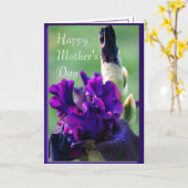 Carte Purple Iris 2914xc- personnaliser à toute occasion (Fleur jaune)