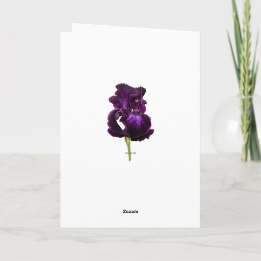 Carte Purple Iris Personnalisé Joyeux Salutation d'anniv (Dos)
