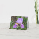 Carte Purple Iris with fresh rain droplets... (Devant)