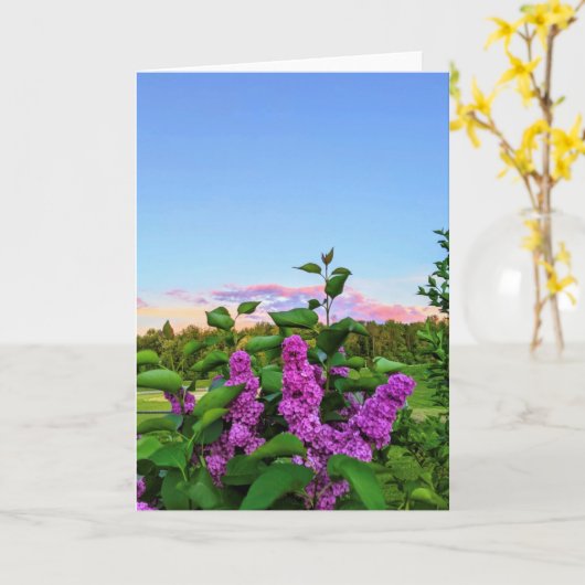 Carte Purple Lilac (Fleur jaune)