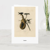 Carte Purple Martin de Audubon's Birds of America (Dos)